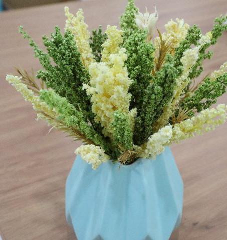 奋进新征程 建功新时代 | “90后”返乡青年 一根网线，让家乡花卉走向世界