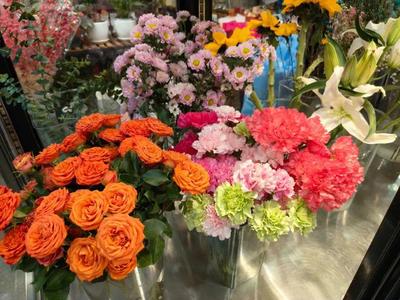 年销花卉为春节添彩，礼品花卉销售迎热潮